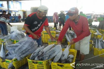 Musim Barat, Tangkapan Ikan Nelayan Pati Turun 