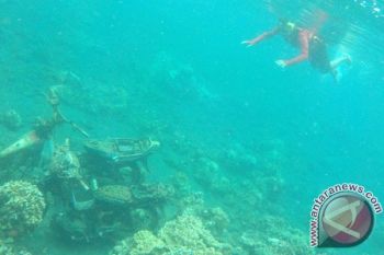 MUI Harap Wisata Pantai Syariah Banyuwangi Dijadikan Panutan Daerah lain