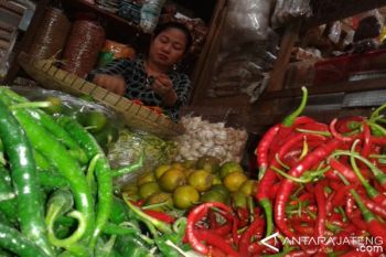 Harga Cabai Di Kudus Turun Jadi Rp125.000 