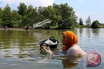 LSM Prioritaskan Keterlibatan Gender Dalam Pembangunan Pesisir 