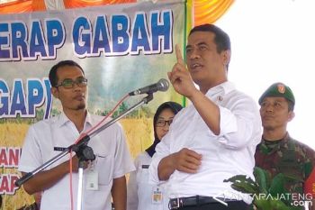 Belum Diangkat CPNS, Penyuluh Pertanian Diminta Mentan Bersabar