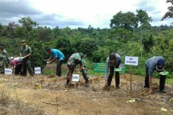 TNI di Biak Numfor bantu petani tanam jagung  