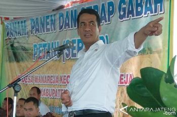 Mentan Minta Petani Jual Gabah ke Bulog