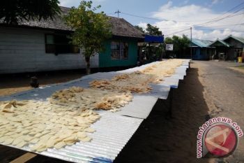 Pemkab Seruyan bangun sentra pengolahan ikan