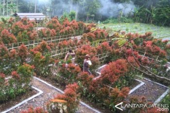Proyek Tempat Istirahat Butuh Tambahan Rp6 Miliar