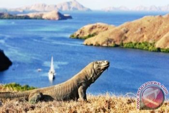 Basarnas Disiagakan di Pulau Komodo