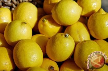 Ini Manfaat Kulit Lemon Untuk Kesehatan