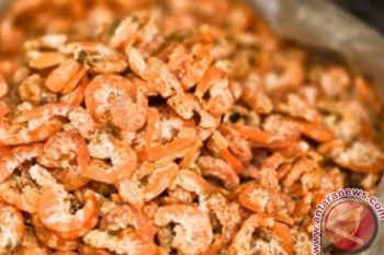 Bantuan Pengupas Udang Ebi Bermanfaat Bagi Nelayan Sukamara