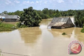 Korban Banjir Mesuji Keluhkan Bantuan Minim 