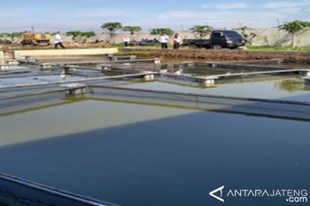 40 Warga Miskin Dapat Paket Budi Daya Ikan
