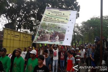 Petani Tuntut Regulasi dan Tolak Impor Tembakau 