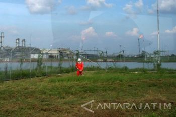 Pembayaran Pekerjaan Proyek Minyak Tunggu SKK Migas
