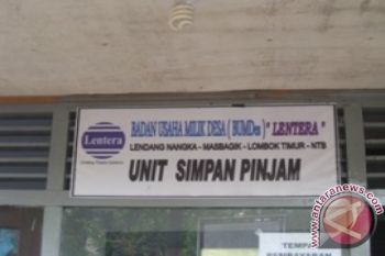 Lipsus - Membangun Bumdes Menuju "Holding Company" Usaha Desa