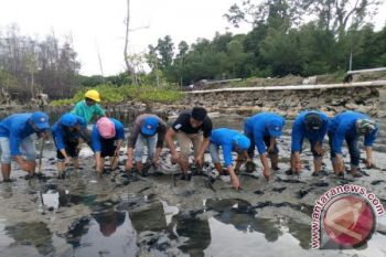 Komunitas Mangrove studi banding di Teluk Tomini