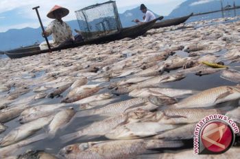 Balai KIPM Palembang tingkatkan pemantauan penyakit ikan
