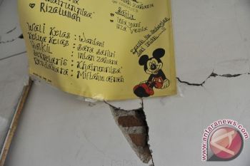 BNPB: Belum ada Laporan Korban Jiwa Akibat Gempa Bali-NTB