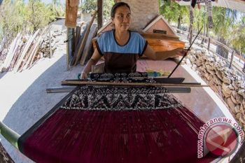 Berharap Dilibatkan Dalam Festival Sumba 
