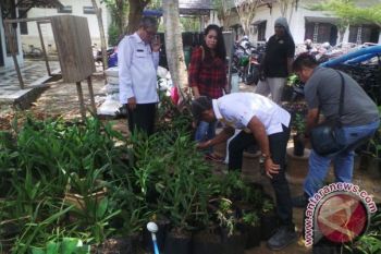 70 Ribu Bibit Cabai Akan Dibagikan ke Warga Kapuas