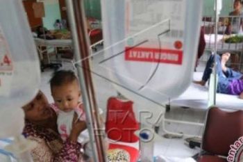 Akhirnya Status Kejadian Luar Biasa DBD Di Rohul Dicabut