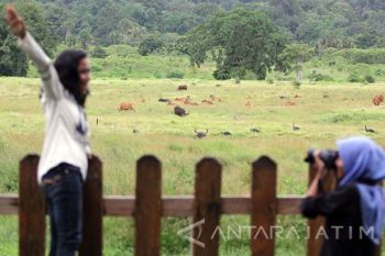 Padang Savana Sadengan