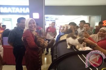 Wakil Wali Kota menyatakan teringat si "Pussy"