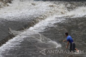 Pendangkalan DAS Brantas