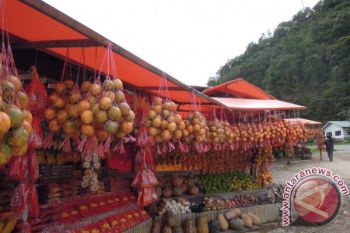 Buah Markisa Maskot Solok yang Makin Langka