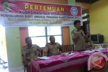 Pemprov Sosialisasikan Penyaluran Bibit Unggul Karet Untuk Petani DAS Barito