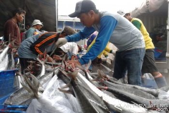Nelayan Batang Ditawari Tangkap Ikan hingga Papua