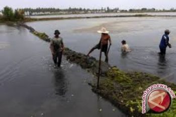 KKP Bantu Nelayan Tambak Kolaka Alat Berat 