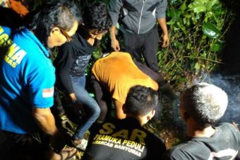 Dua Orang Meninggal Akibat Tertimpa Pohon Tumbang 