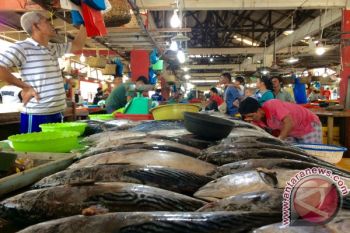 Harga Ikan di Tanjungpinang Tidak Stabil