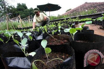 Masyarakat Pedesaan di Jateng Butuh Tambahan Bantuan Bibit Sayuran 