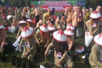 Manfaatkan Pekarangan, Purbalingga Luncurkan Gerakan "Macan Manis" 