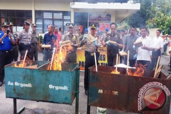 Polres Pasaman Musnahkan 53 Kilogram Ganja Kering