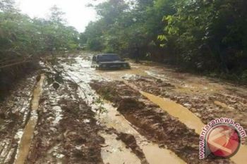 Legislator Ini Minta Pemprov Kalteng Perbaiki Jalan Rusak