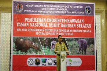 Pemprov Lampung Tingkatkan Pengawasan TNBBS 