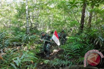 TNI Tangkap Penyelundup Mobil di Perbatasan