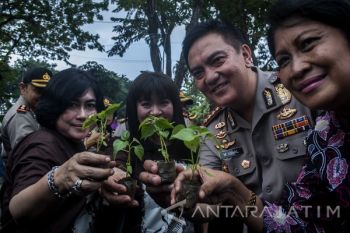 Nandur dan Sedekah Sejuta Bibit Cabe