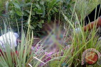 Diduga Pikun! Seorang Kakek Ditemukan Tewas di Semak Belukar