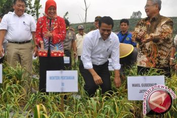 Mentan fokus empat hal sampai 2019