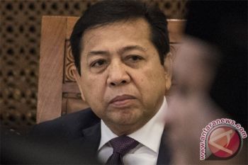DPR tunggu surat fisik pergantian Novanto