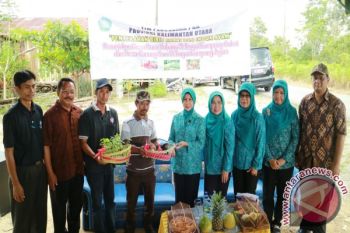 PKK Kaltara Bantu Bibit Cabai dan Indukan Ayam