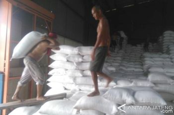 Stok Pangan Banyumas Aman 7 Bulan ke Depan 