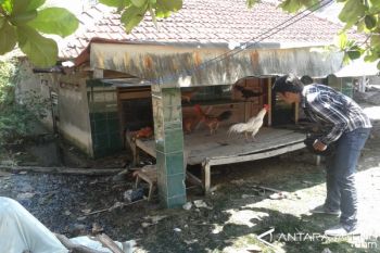 798 Hektare Lahan di Demak Terdampak Abrasi