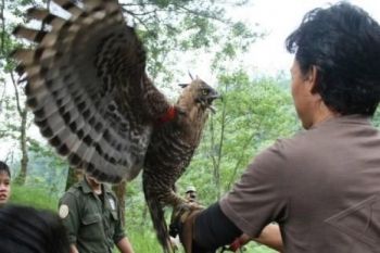 BKSDA Jateng Bentuk Forum Peduli Pelestarian Satwa Langka 