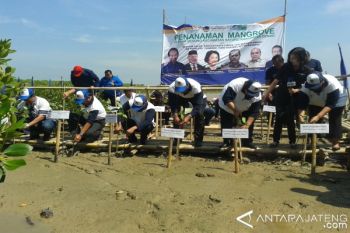 Menteri LHK: Mangrove Bisa Dikembangkan Jadi Ekowisata 
