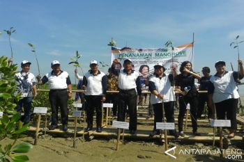 40.000 Bibit Mangrove Ditanam di 13 Kabupaten/Kota