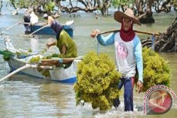 750 Petani-Nelayan ke Penas 