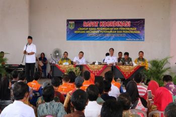 Lampung Tengah Gulirkan 10 Sapi Per Kampung  